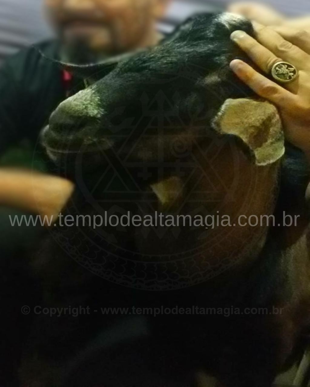 Obrigação de Exu